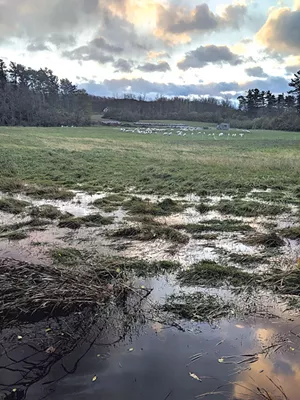 Shelburne Farms drainage ditch overflow into field after heavy rains - COURTESY OF JESS RUBIN
