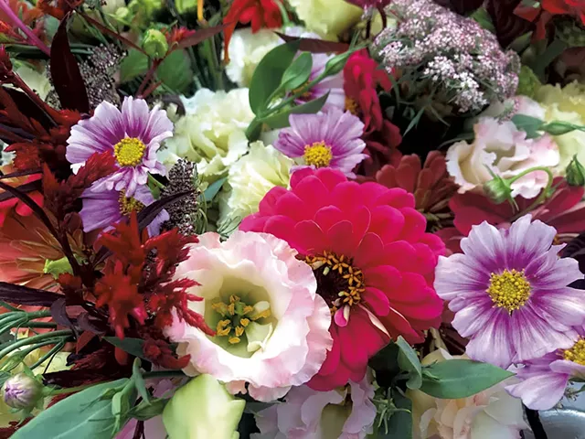 Morey Hill Farm flowers - COURTESY