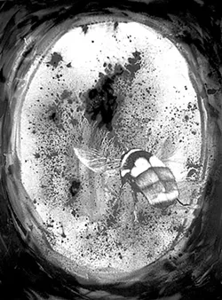 "Creator #1" - GABRIEL TEMPESTA