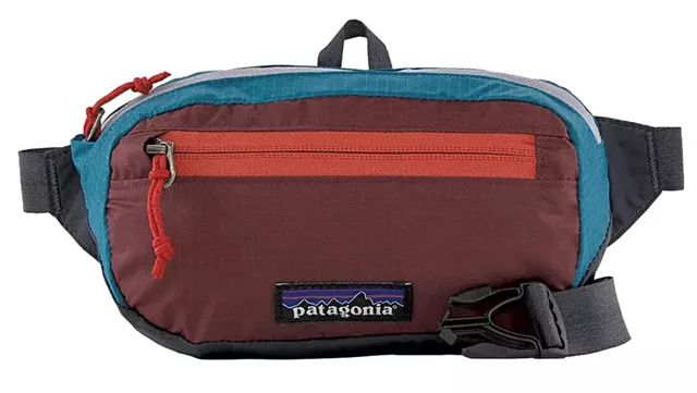 Patagonia Ultralight Black Hole Mini Hip Pack - COURTESY