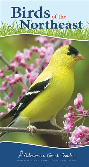 Birds of the Northeast by Stan Tekiela - COURTESY