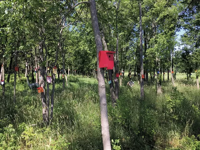 Birdhouse Forest - SASHA GOLDSTEIN
