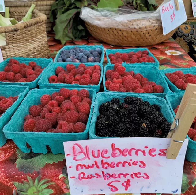 Last Resort Farm's booth at the Richmond Farmers Market - MELISSA PASANEN ©️ SEVEN DAYS