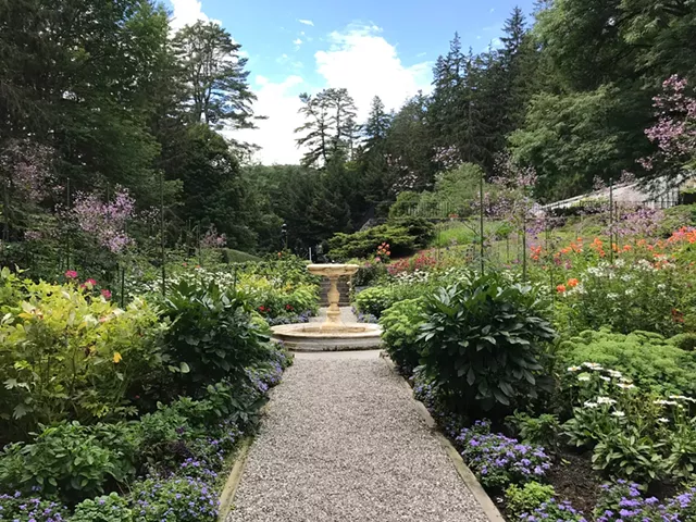 Path up Mount Tom - SALLY POLLAK ©️ SEVEN DAYS