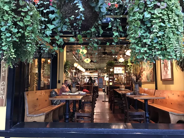 Hanging plants in the open window at Stone Soup - SALLY POLLAK ©️ SEVEN DAYS