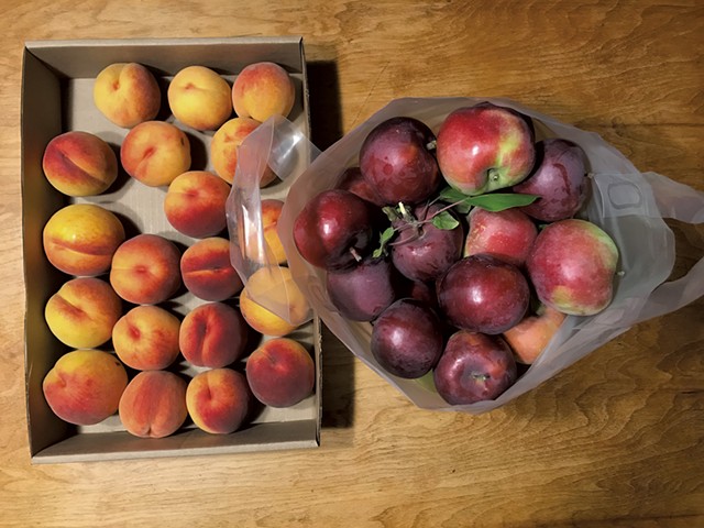 Peaches and apples from Shelburne Orchards - SALLY POLLAK ©️ SEVEN DAYS