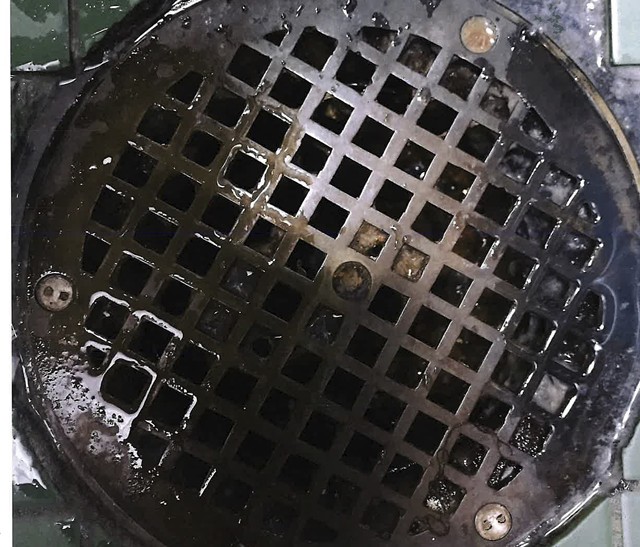 A February 2020 photograph of a Chittenden Regional Correctional Facility shower drain taken by Office of Prisoners' Rights investigator Hillary Reale - CHITTENDEN SUPERIOR COURT