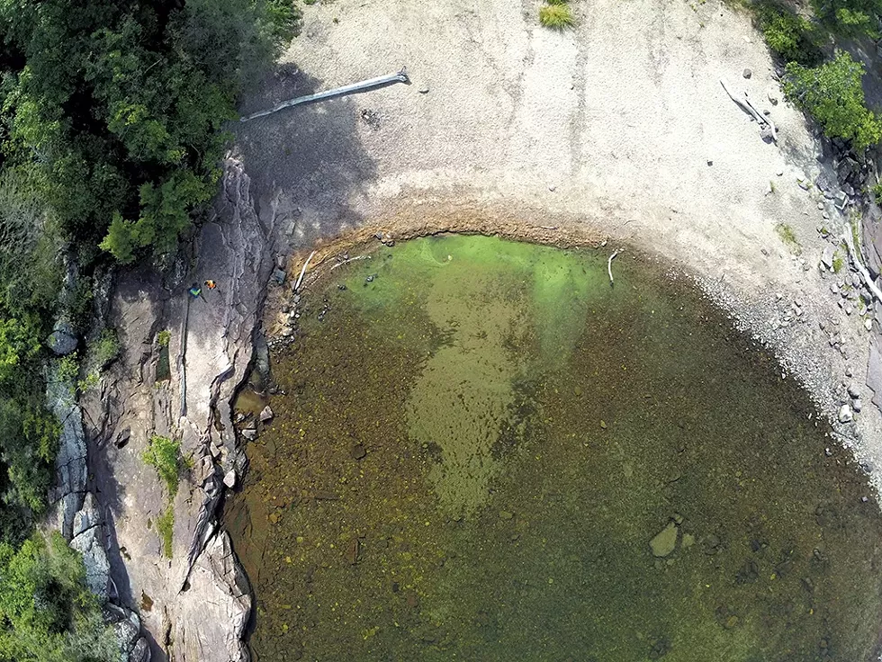 Cyanobacteria in Burlington's Oakledge Park on September 3, 2020 - COURTESY OF UNIVERSITY OF VERMONT SPATIAL ANALYSIS LABORATORY