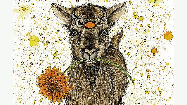 Goat by Nikki Laxar - COURTESY OF NIKKI LAXAR