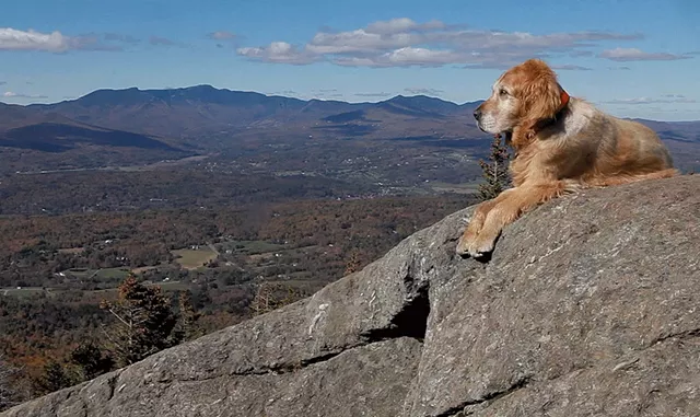 Baylor in a still from "The Mountain Dogs" by Aynsley Floyd - COURTESY OF AYNSLEY FLOYD