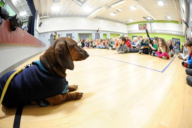 Hobbes at East Montpelier Elementary School - JEB WALLACE-BRODEUR