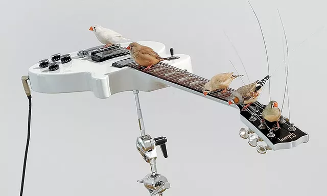 Installation view of "from here to ear (version hors série)"