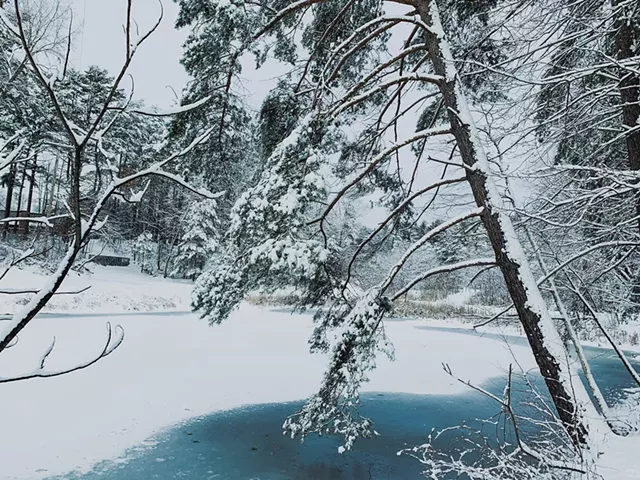 Gilbrook Natural Area - COURTESY OF THE CITY OF WINOOSKI