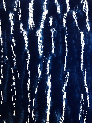 Bark cyanotype - COURTESY OF ELIZABETH BILLINGS