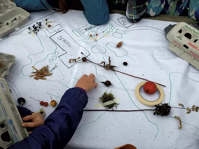 Mapping birds' feeding habitats - BRIDGET BUTLER