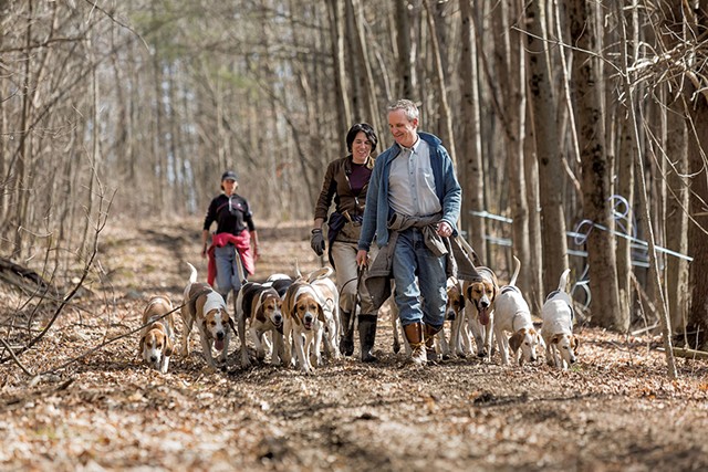 Sen. Chris Bray walking foxhounds with his partner, Kate Selby - OLIVER PARINI