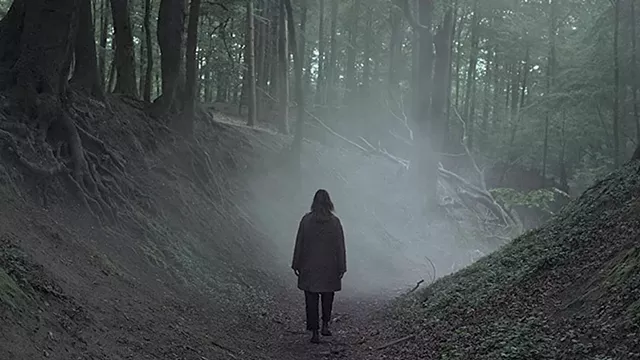 RITES OF SPRING A desolate island may hold the key to a 21-year-old mystery in this Danish series. - COURTESY OF NETFLIX
