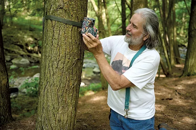 Steve Parren checking his game camera near the stream behind his home in Monkton - BEAR CIERI