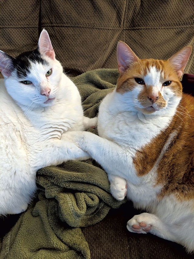 Percy and Max (Human: Renee Langevin) - COURTESY