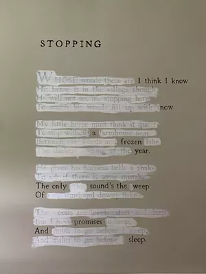 "Stopping" by Mary Ruefle - SALLY POLLAK
