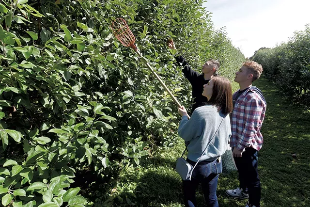 Pickers at Burrt's Apple orchard in Cabot - JEB WALLACE-BRODEUR