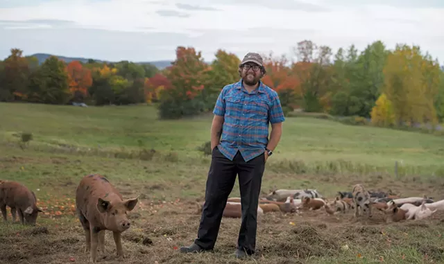 Phelan O'Connor with his heritage pigs at Pigasus Meats - DARIA BISHOP