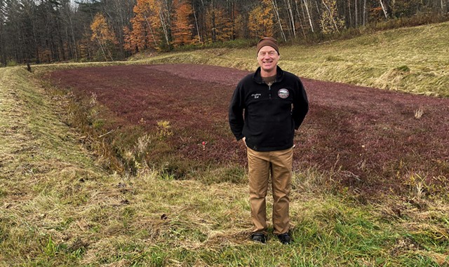 Bob Lesnikoski in front of a cranberry bog - MARGARET GRAYSON