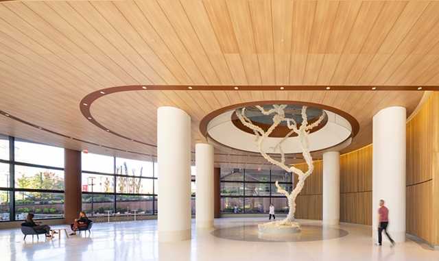 "Decoding the Tree of Life" by Maya Lin in the Pavilionat the Hospital of the University of Pennsylvania - COURTESY OF DAN SCHWALM &copy; 2021 PENNFIRST