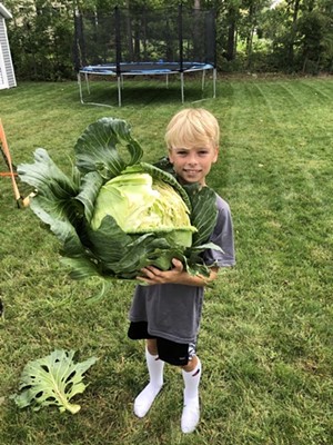 Nathan holding his 13-pound cabbage. - COURTESY