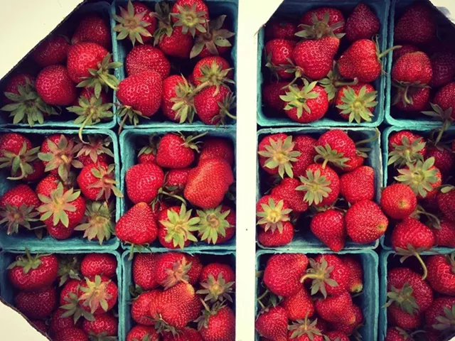 BURLINGTON FARMERS MARKET