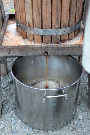 Cider collects in a stainless-steel pot - TRISTAN VON DUNTZ