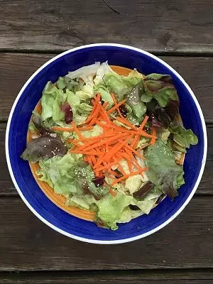 The perfect summer salad - ROBIN BERGER