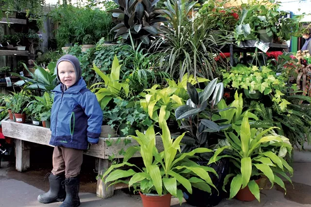Russ in the greenhouse - KATIE TITTERTON