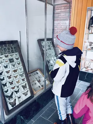 UVM's taxidermy collection - HEATHER POLIFKA-RIVAS