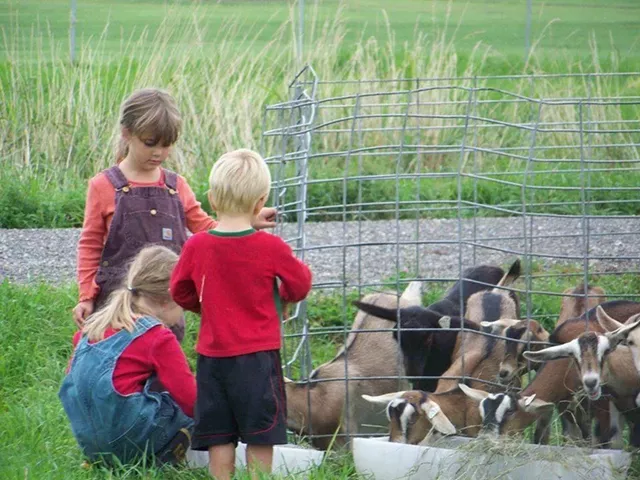 Open Farm Week - COURTESY IMAGE