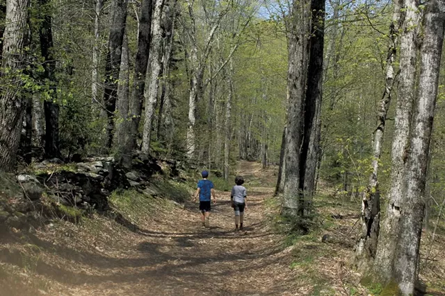 Heather's son Jesse and friend Scarlett exploring the trails at Little River State Park - HEATHER FITZGERALD