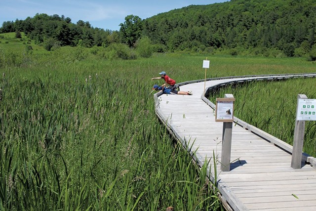 Jesse and Noah explore the wetlands from the boardwalk - HEATHER FITZGERALD