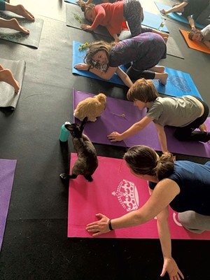 Mira Novak and Grace, Peter and Jill Warrington (top to bottom) enjoy bunnies and yoga - COURTESY OF WATER AND ROCK STUDIO