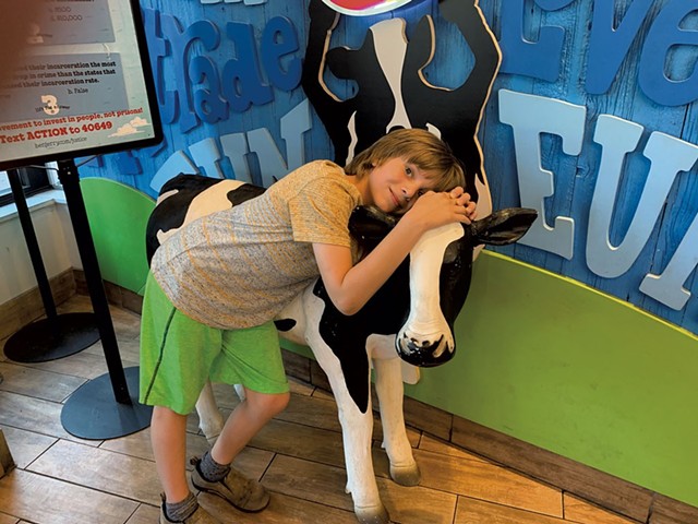 Theo hangs out with a cow at Ben & Jerry's on Church Street - ALISON NOVAK