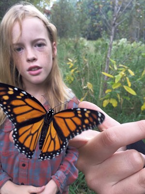 Pacem student Ripley Boyden tagging a monarch butterfly - COURTESY OF PACEM SCHOOL