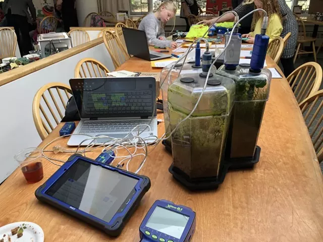 A Middlebury Union Middle School project on sustainable ecosystems, funded by last year's VASE grant - COURTESY OF JOHN COHN