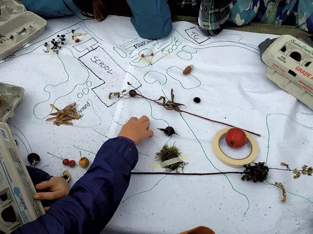 Mapping birds' feeding habitats - BRIDGET BUTLER