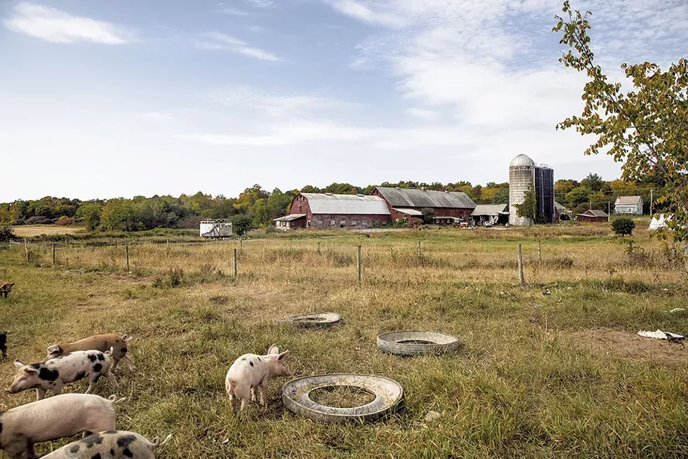 Agricola Farm in 2020 - COURTESY OF CLARE BARBOZA