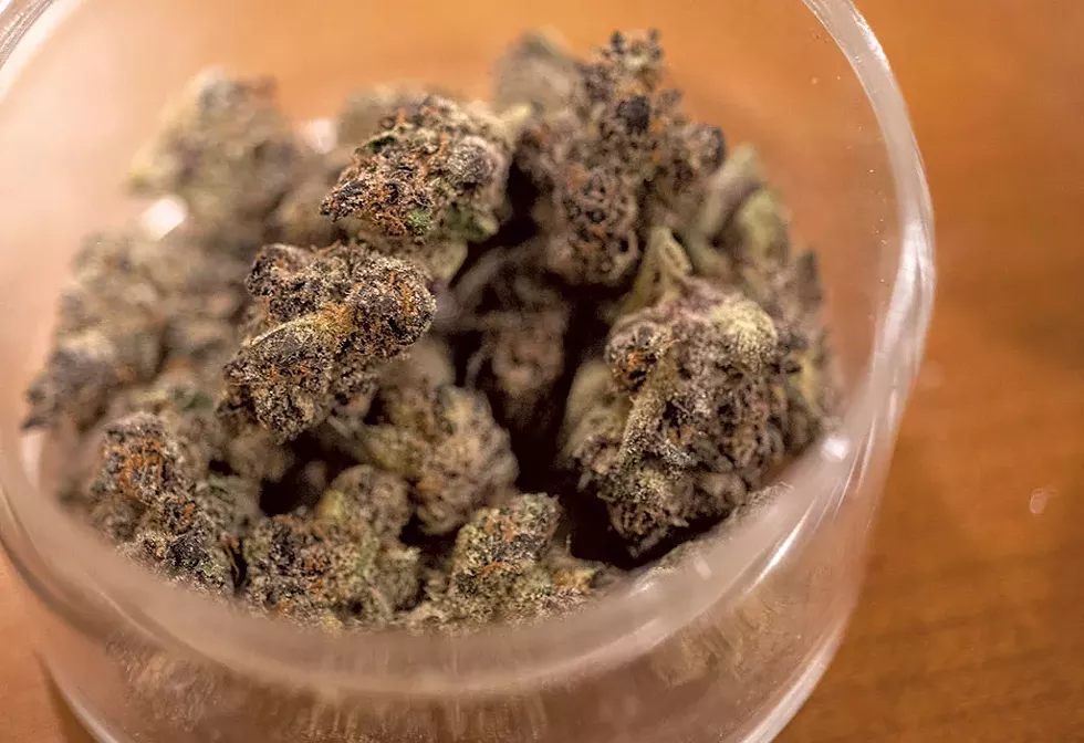 Cannabis at ForbinsFinest - JEB WALLACE-BRODEUR