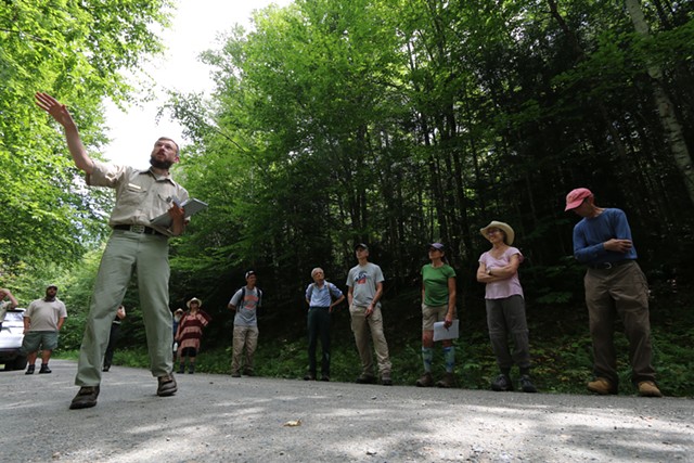 James Donahey, silviculturist for the Rochester Ranger District, leads a tour last year of timber areas of the Green Mountain National Forest - FILE: KEVIN MCCALLUM ©️ SEVEN DAYS