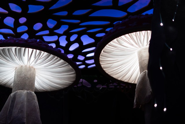 Mushroom Forest immersive art prototype for Babaroosa - COURTESY OF SARAH KJELLEREN