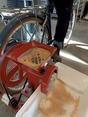 Grain being milled by bike - MELISSA PASANEN