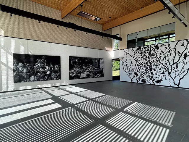 From left: "Fruit" and "Fish" by Shelley Reed, cut-paper installation by Randal Thurston - COURTESY