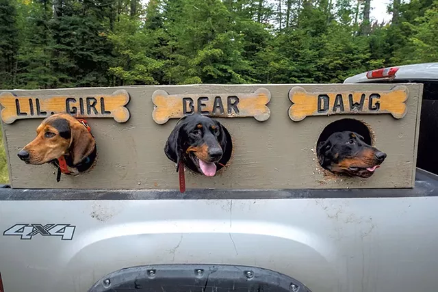 Butch Spears' hounds - FILE: JEB WALLACE-BRODEUR