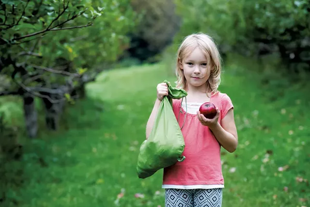 A young apple picker - COURTESY OF KELLY FLETCHER